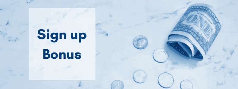 Online bingo signup bonuses